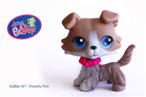 Various formats from 240p to 720p hd (or even 1080p). Nicole`s LPS blog - Littlest Pet Shop: Our Checklist No 1 ...