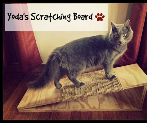 Diy Cat Scratching Board Diy Cat Scratcher Cat Diy Cat Scratcher