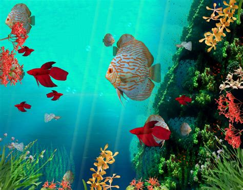 49 Free Fish Tank Wallpaper Animated On Wallpapersafari
