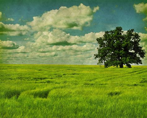 Una actividad perfecta: Dia de campo