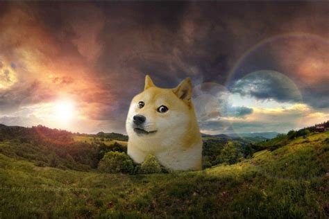 Doge is our fun, friendly mascot! Doge Wallpapers ·① WallpaperTag