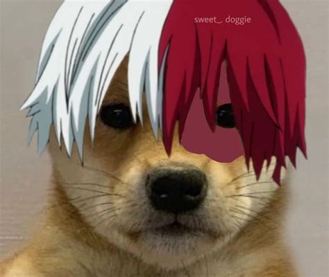Todoroki 🤠 In 2020 Anime Dog Icon Cute Profile Pictures