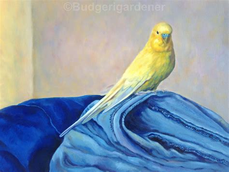 Yellow Budgie Greeting Card Of Basil An Oil Etsy Uk Parakeet Art
