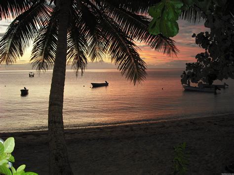 Dive Kadavu Matana Beach Resort Vunisea Fiji Hotels And Resorts