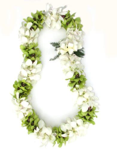 Fresh Hawaiian Lei Double Green And White Orchid Lei
