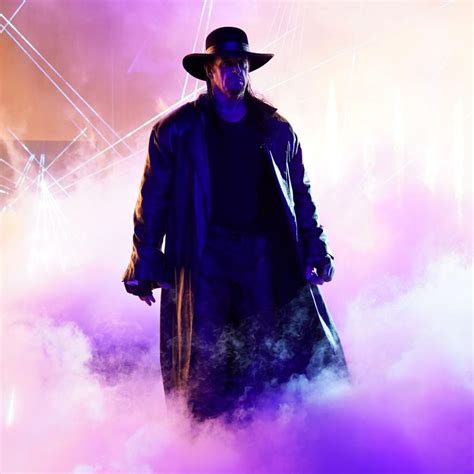 Wwes Documentary Last Ride On The Undertaker Is A Must Watch For All