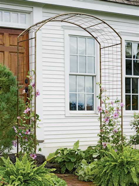 Climbing Plant Trellis That Will Give Your Garden A