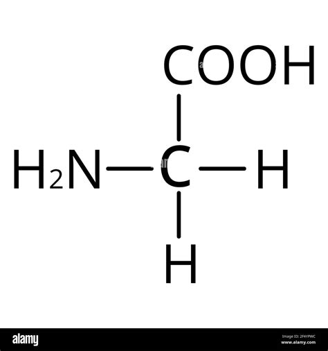 Amino Acid Glycine The Chemical Molecular Formula Of Glycine Is An Amino Acid Vector