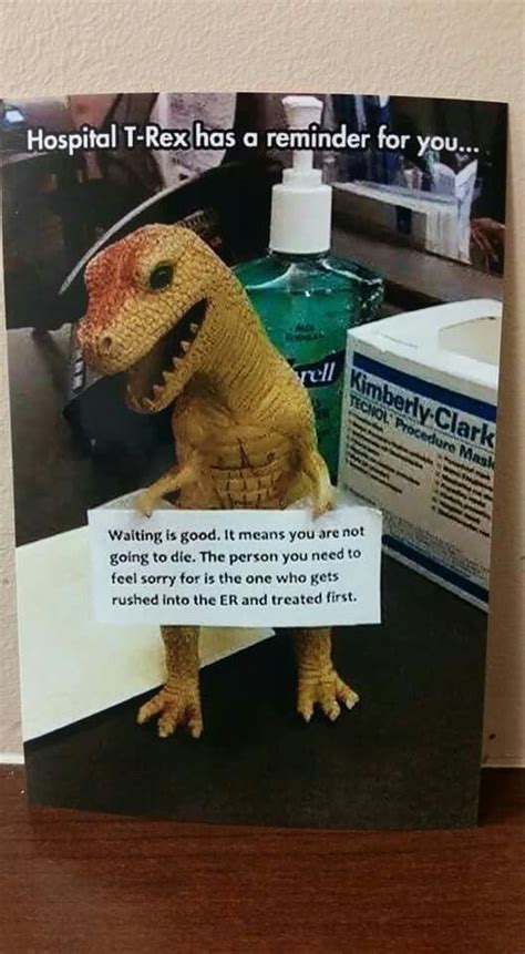 Instruction for younger puppies was a new concept, with our program being the first specially designed class for puppies in western new york. Hospital TRex | Hospital, Dinosaur stuffed animal, Sonography