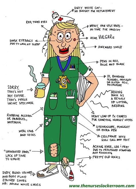 Anatomy Of A Nurse Nurse Nurse Humor Nursing Fun