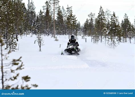 Snowmobiling In Deep Powder In The Forrest Stock Photo Image Of