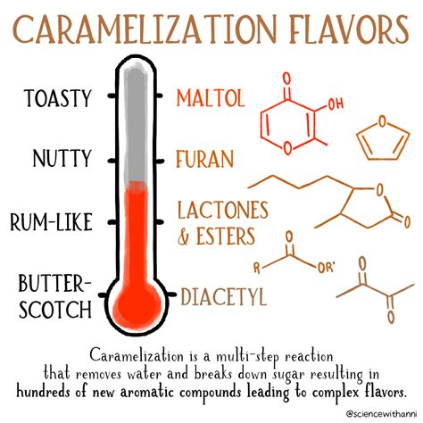 Caramelization Flavors Science With Anni