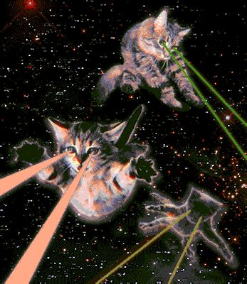 Cat Space Gifs Find Share On Giphy