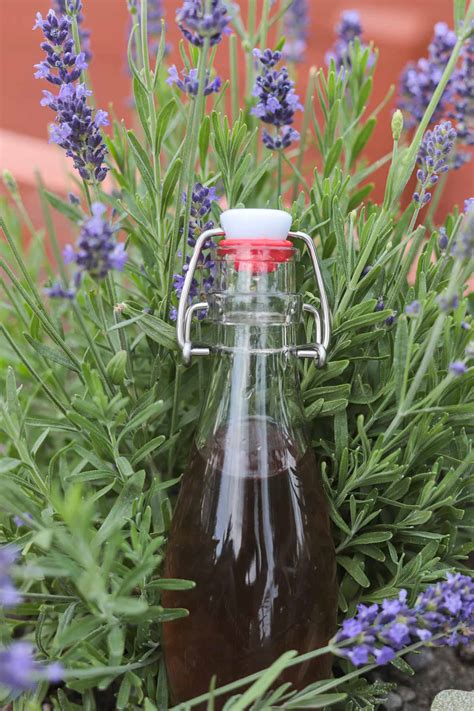 Lavender Simple Syrup Recipe Hildas Kitchen Blog