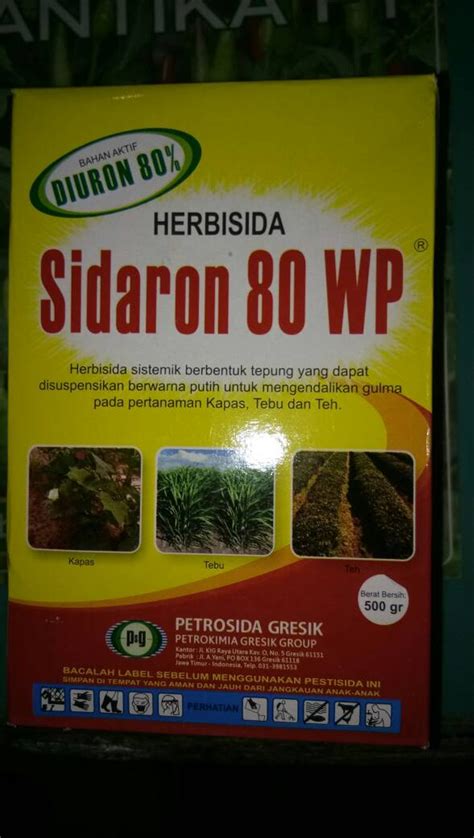 Oke demikian tips cara membuat herbisida organik (racun rumput) yang ramah. Jual Herbisida racun rumput Sidaron 80 WP 500gr di lapak ...
