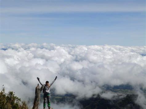 Sea Of Clouds Alchetron The Free Social Encyclopedia