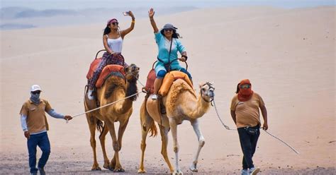 Camellos En Ica 2023 Cómo Llegar Precio De Entrada Y Qué Actividades