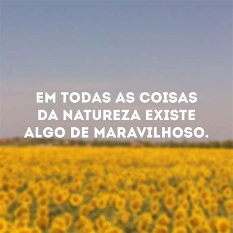 Legenda Para Fotos De Paisagens