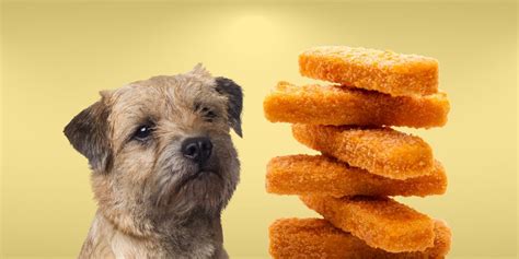 Can Dogs Eat Fish Sticks A Comprehensive Guide