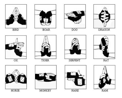 Know Your Hand Signs Boruto Amino