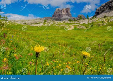 Amazing Landscape With Mountain Flowers Italy Stock Image Image Of