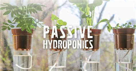 What Is A Passive Hydroponic System Garden Culture Magazine