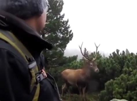 1,014 likes · 1 talking about this. Euro Túra Videa - Do Ceska Se Vrati Silny Vitr Na ...