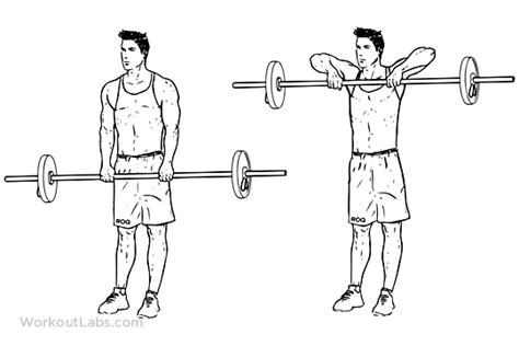 Upright Barbell Row Illustrated Exercise Guide Workoutlabs