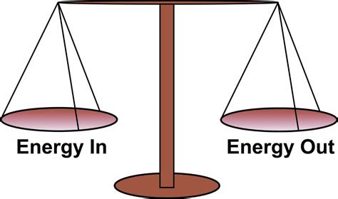 Energy Homeostasis And Energy Balance Mixfit