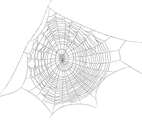 Spider Web Web Decoration Spider Web Spider Web Pattern Cartoon Png