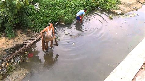 Komponen yang bertanggung jawab atas rasa dan aroma ikan diubah oleh aksi enzimatik. Nelayan Bangladesh Menjala Ikan Di Sungai Betong ,Jerantut ...