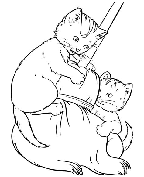 Free Printable Cat Coloring Pages For Kids