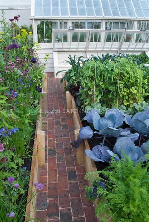53 Best Images About Side Yard Gardening On Pinterest