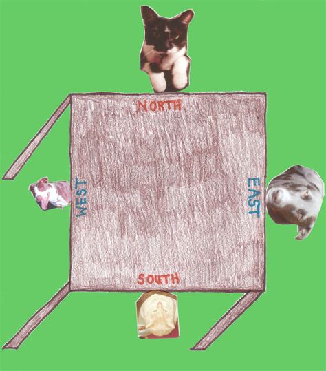 Download Bridgette Cat And Dog Wallpaper