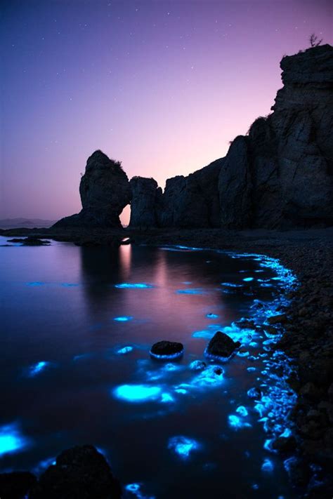 Banshy Fluorescent Sea Night By Shanye Wuyu Nature