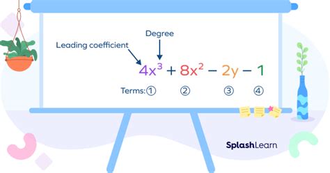 Types Of Polynomials Monomial Binomial Trinomial Examples