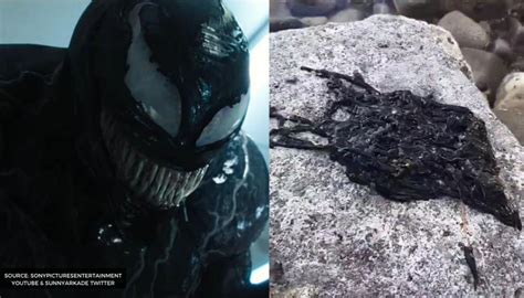 Venom Symbiote Goes Viral In A Video Freaking Out Netizens Watch