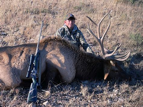 Elk Hunt New Mexico Compass West Outfitters Compass West Outfitters
