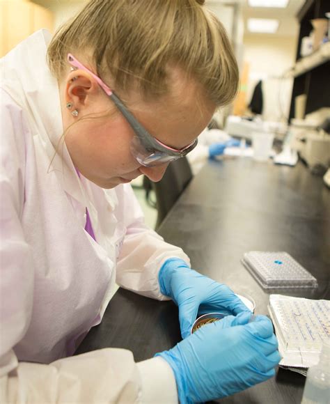 Forensic Biology Degree Ohio Northern University