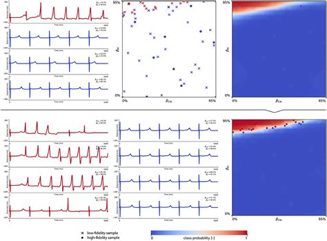 frontiers sex differences in drug induced arrhythmogenesis