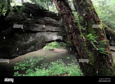 Rock Bridge Red River Gorge Geological Area Clifty Wilderness Slade