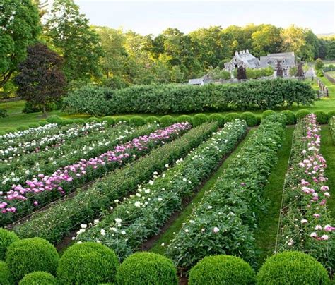 17 Best Images About Martha Stewarts Garden Farm On Pinterest