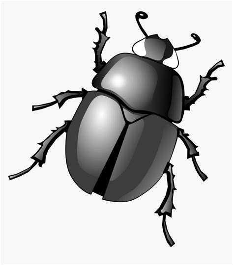 Dung Beetle Clip Art Transparent Background Beetle Clipart Hd Png
