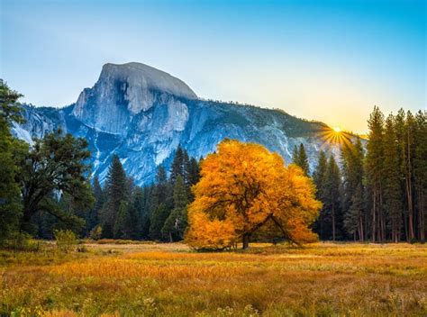 Yosemite National Park Autumn Colors Fall Foliage Fuji Gfx100 Fine Art