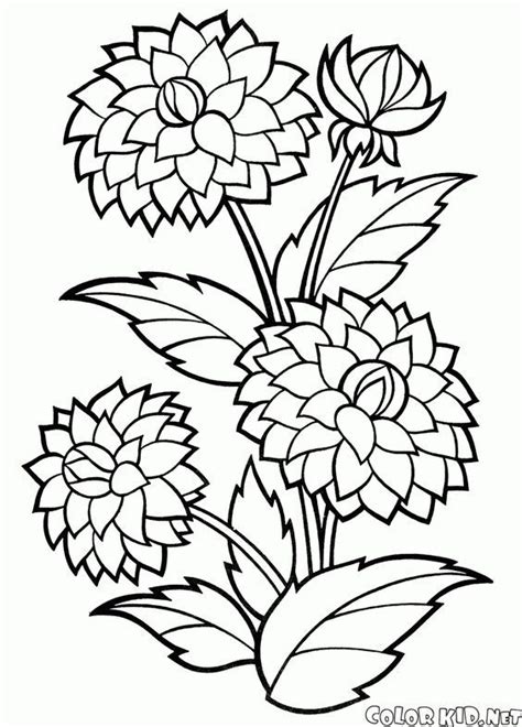 Download Lotus Flower Coloring Pages #coloringpages # ...