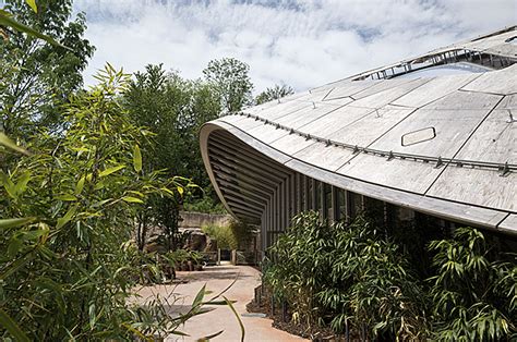 Markus Schietsch Architekten Caps Elephant Sanctuary With Timber