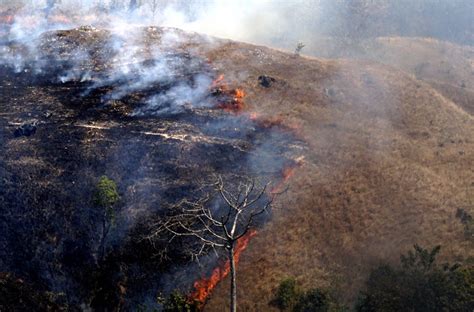 Kebakaran Yang Terus Berulang Di Pulau Sumba 5 Mongabay Co Id
