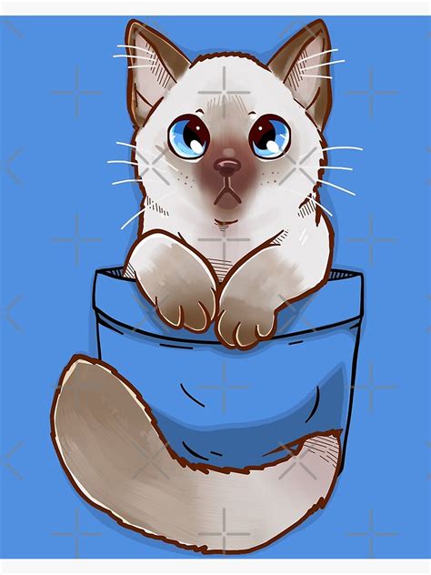Pocket Cute Ragdoll Kitten Poster For Sale By Techranova Redbubble