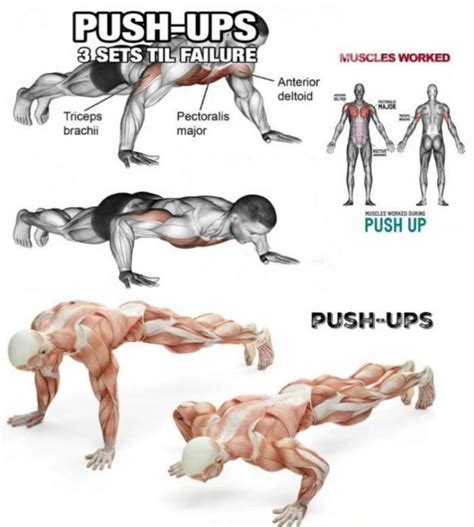 the best 3 variation pushup executing tips benefits exercises and guide