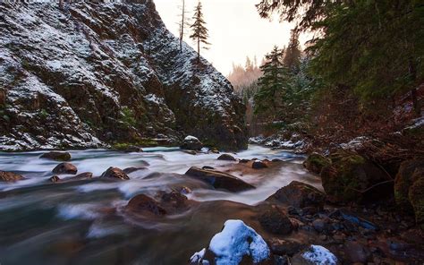 View Beautiful Creek Trees Sky Beanches Winter Mountain